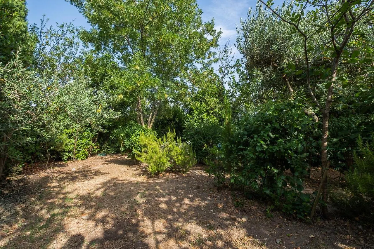 La Sosta Del Pellegrino Apartment Sorano  Italy